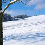Апартаменты Liebscher