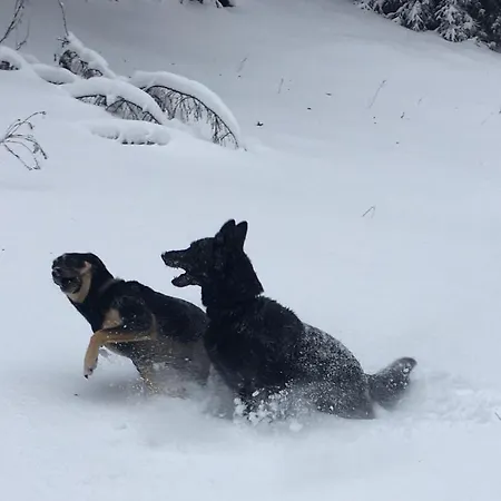 Apartman Liebscher Sehmatal